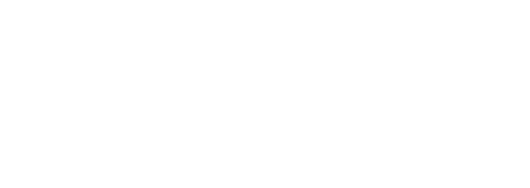 DDI Capital